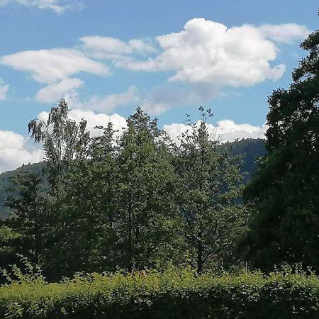 Toepferblick Apartment Olbersdorf ภายนอก รูปภาพ