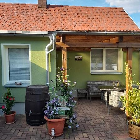 Toepferblick Apartment Olbersdorf ภายนอก รูปภาพ