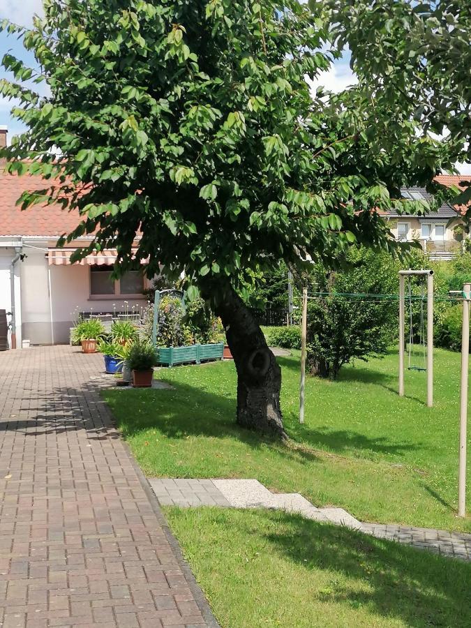 Toepferblick Apartment Olbersdorf ภายนอก รูปภาพ