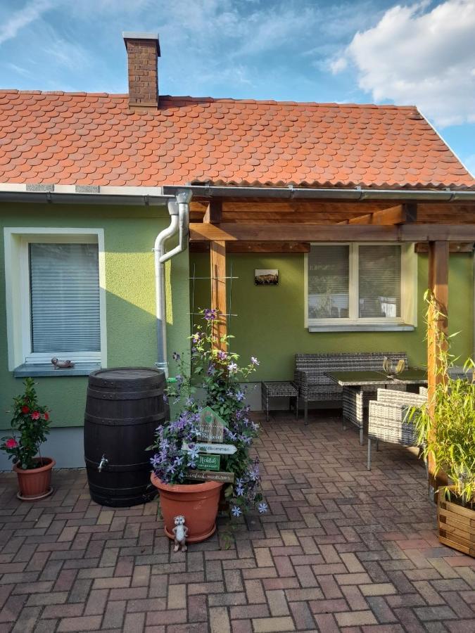 Toepferblick Apartment Olbersdorf ภายนอก รูปภาพ